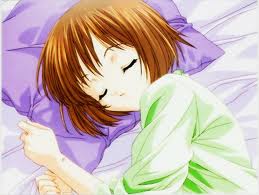   2013 Anime sleep