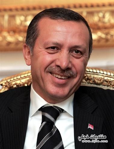 اردوغان 2017