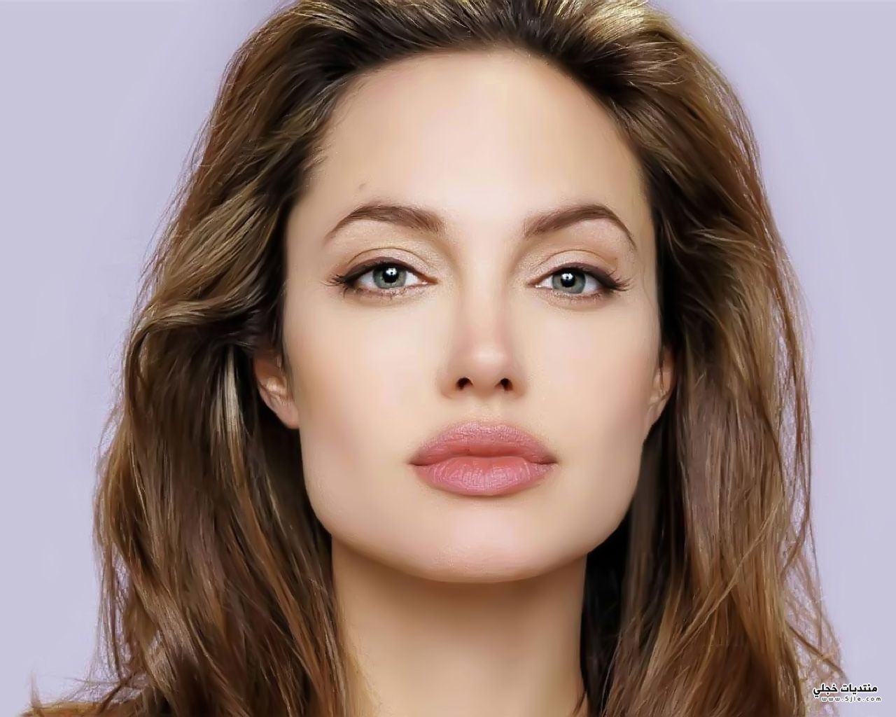 Angelina Jolie 2014