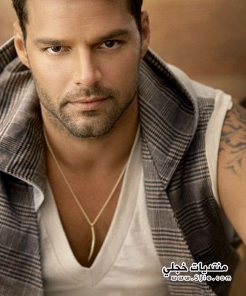   2013 Ricky Martin