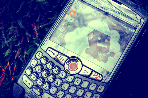 BlackBerry 2013   