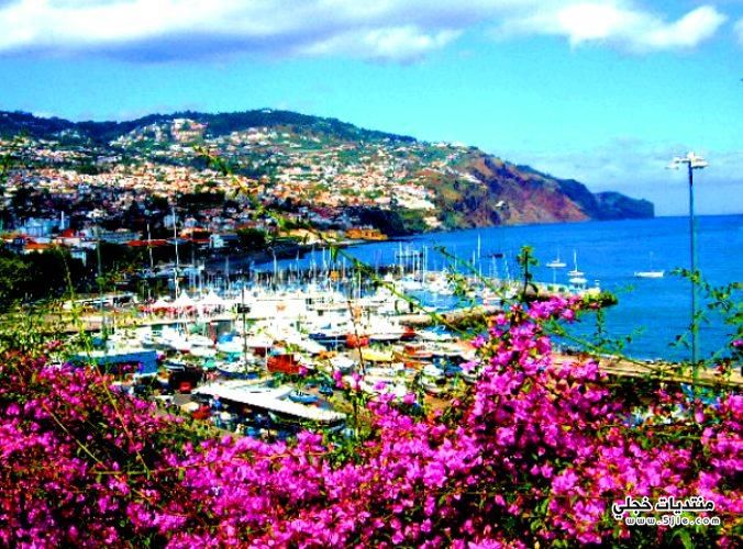 Madeira Island 2015  