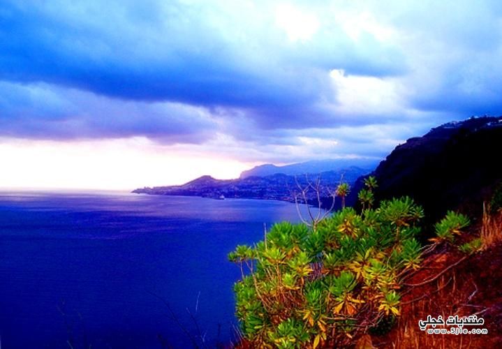 Madeira Island 2015  